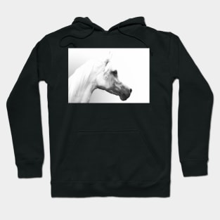 Arab Horse Portrait Hoodie